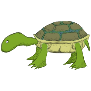 Turtle drawing